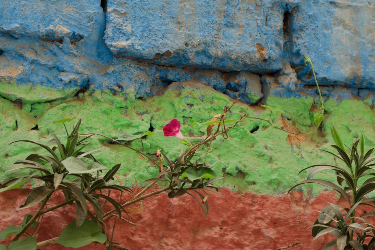 Riad Maryam Taroudant Exteriör bild