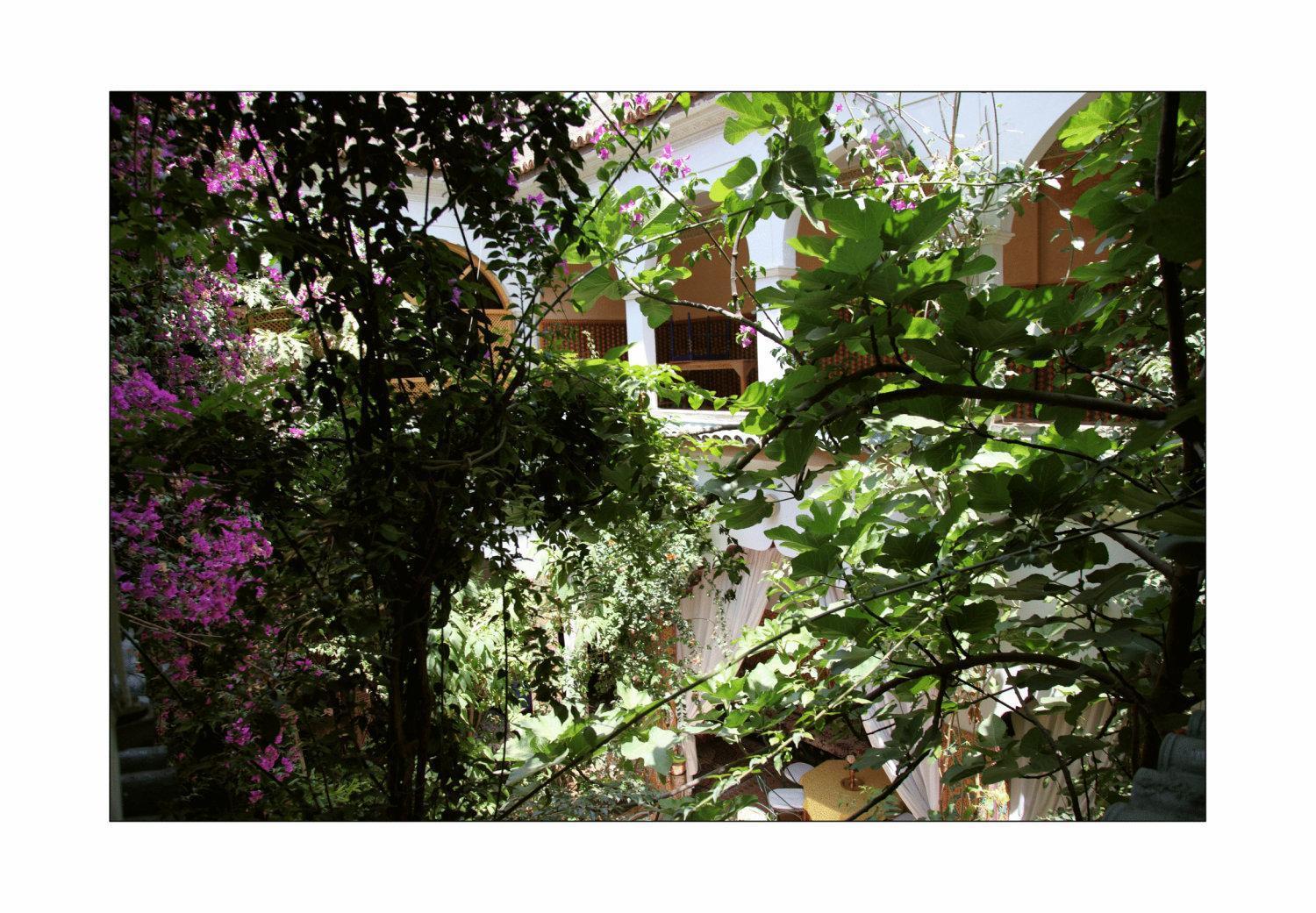 Riad Maryam Taroudant Exteriör bild